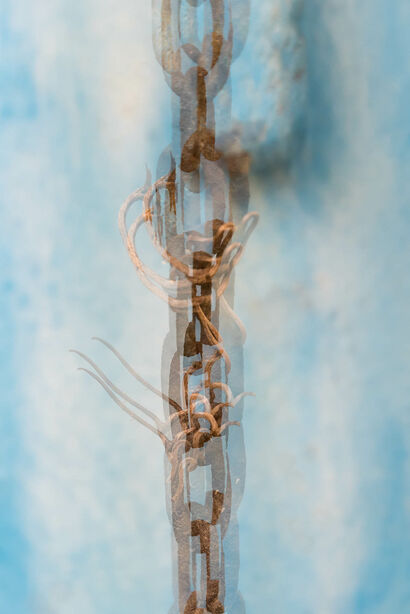 Aria - a Photographic Art Artowrk by Thomas Driendl