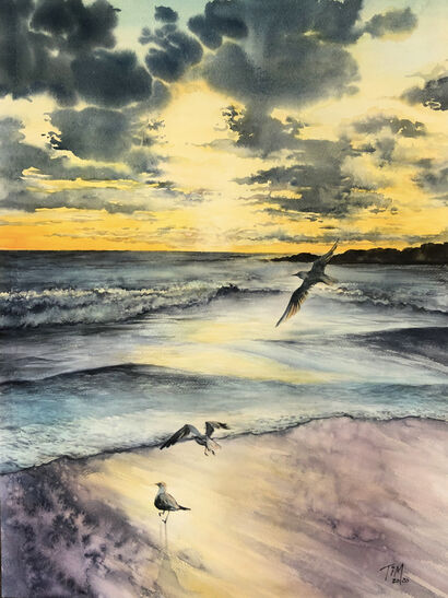 Sunset Seagull - a Paint Artowrk by Timothy Lam