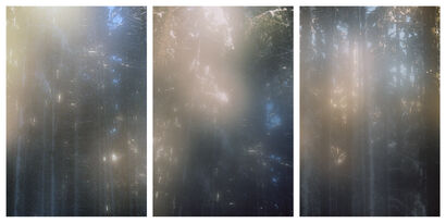 In Search of the Miraculous (4/5) - Triptych - a Photographic Art Artowrk by Janos Dominik Tedeschi