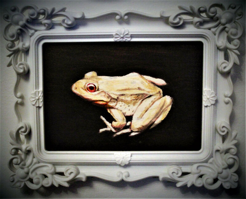 White frog - a Paint by Jimmy Richter