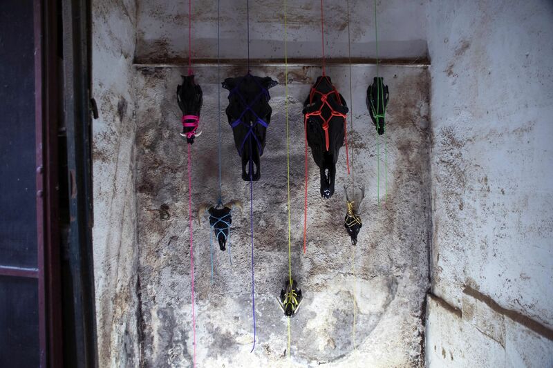 Oracular Skullptures 2nd series  - a Sculpture & Installation by Tommaso  Fagioli