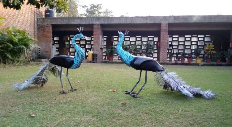My peacocks - a Sculpture & Installation by Shivjot kaur Saini