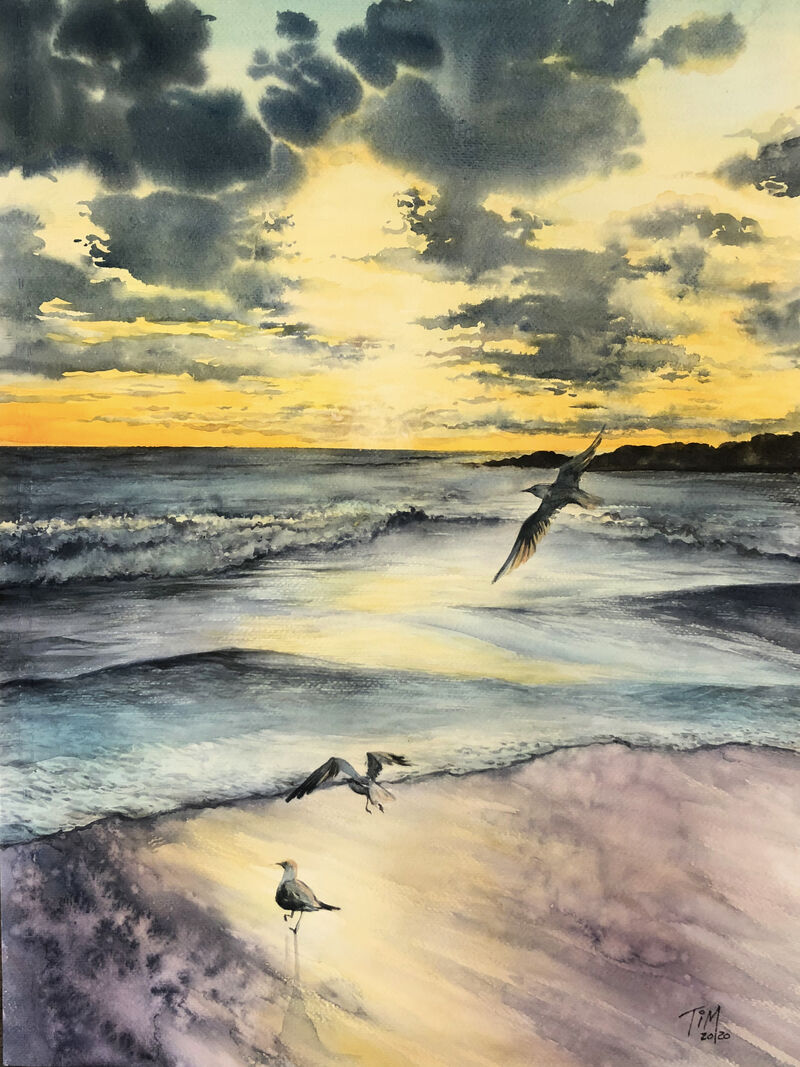 Sunset Seagull - a Paint by Timothy Lam