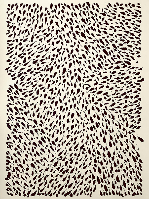 Remy Pollet | Arte Laguna World