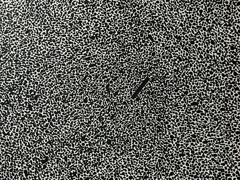 Remy Pollet | Arte Laguna World