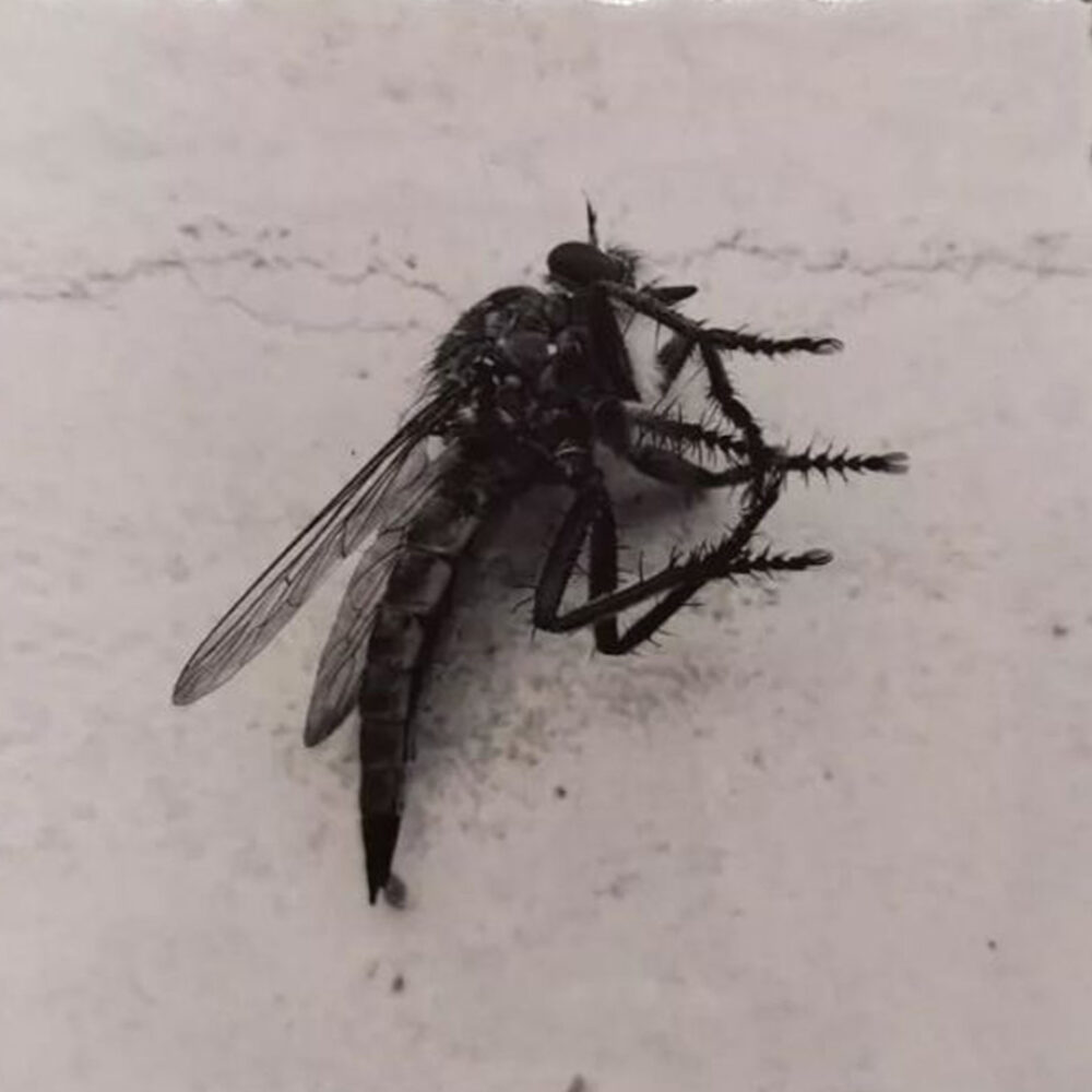 Alberto Chiaretto | Arte Laguna World 2026