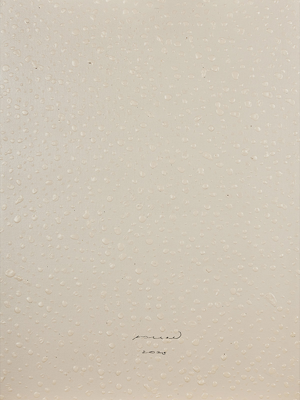 Remy Pollet | Arte Laguna World
