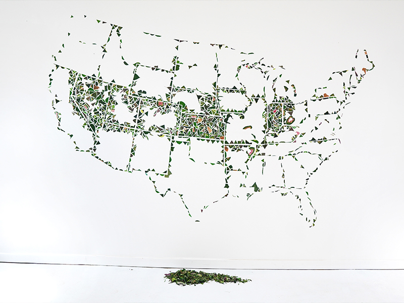 Ashlin McAndrew | Arte Laguna World Ashlin McAndrew | Arte Laguna World