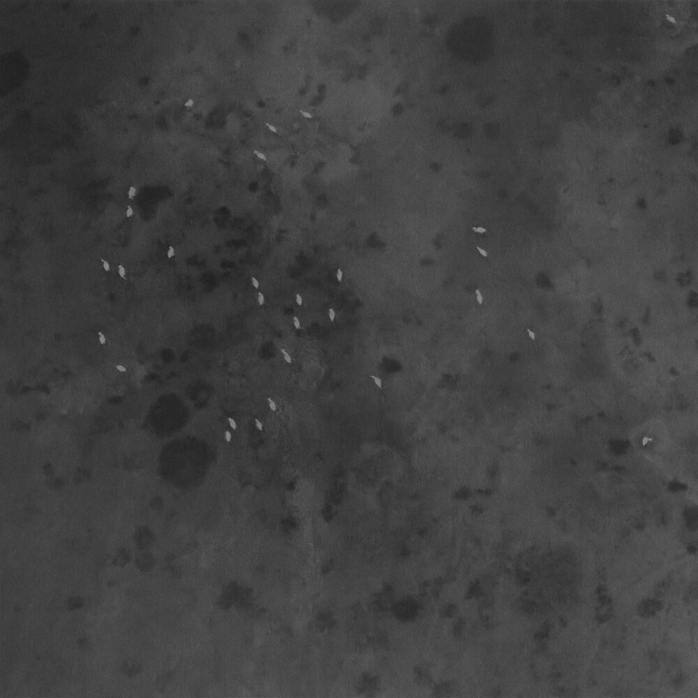 Stanley Leroux | Arte Laguna World 2026