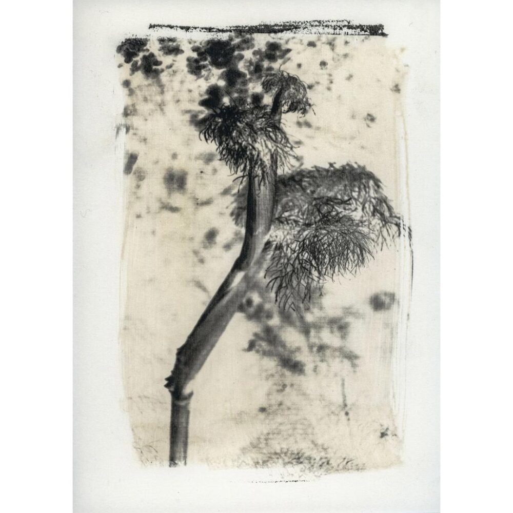 Stefano Paradiso  | Online Artworks Exhibition